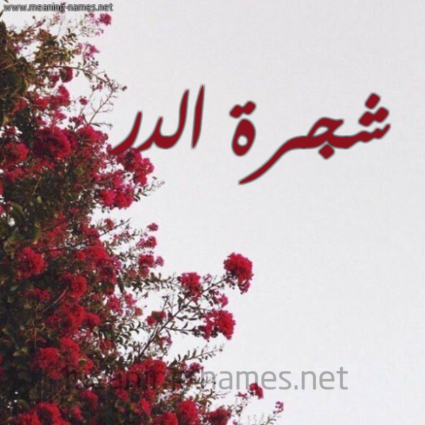 شكل 18 صوره الورد الأحمر للإسم بخط رقعة صورة اسم شجرة الدر SHGRH-ALDR